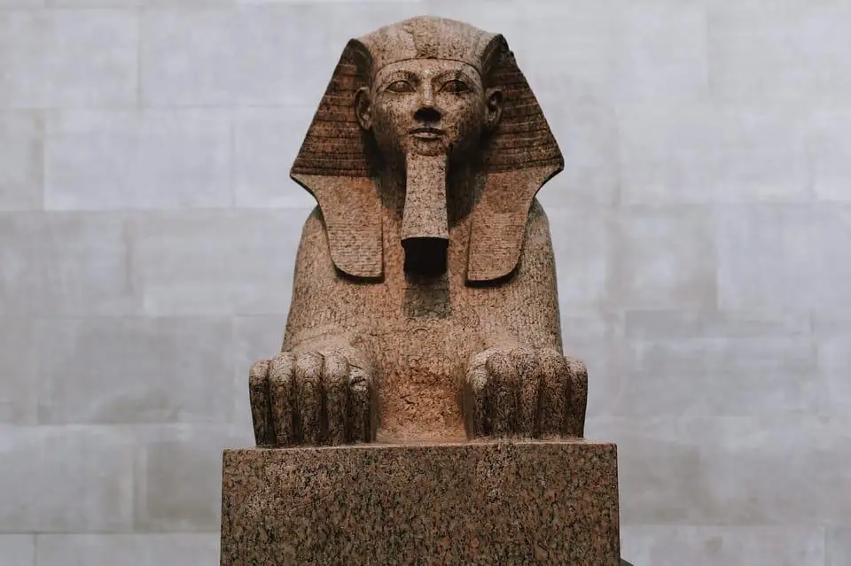 The Metropolitan Museum of Art
