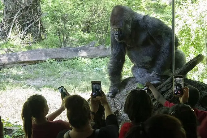 Bronx Zoo