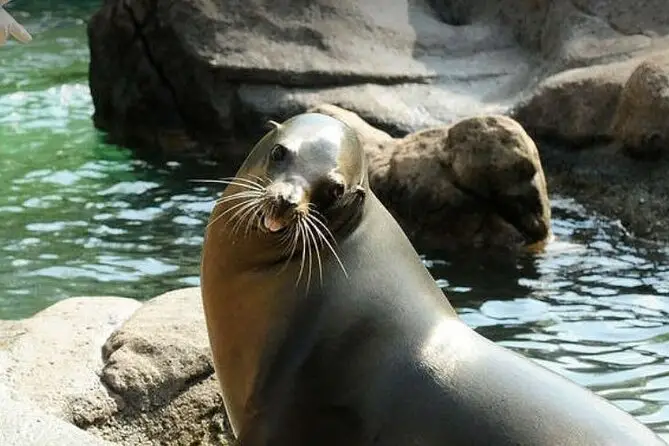 Bronx Zoo