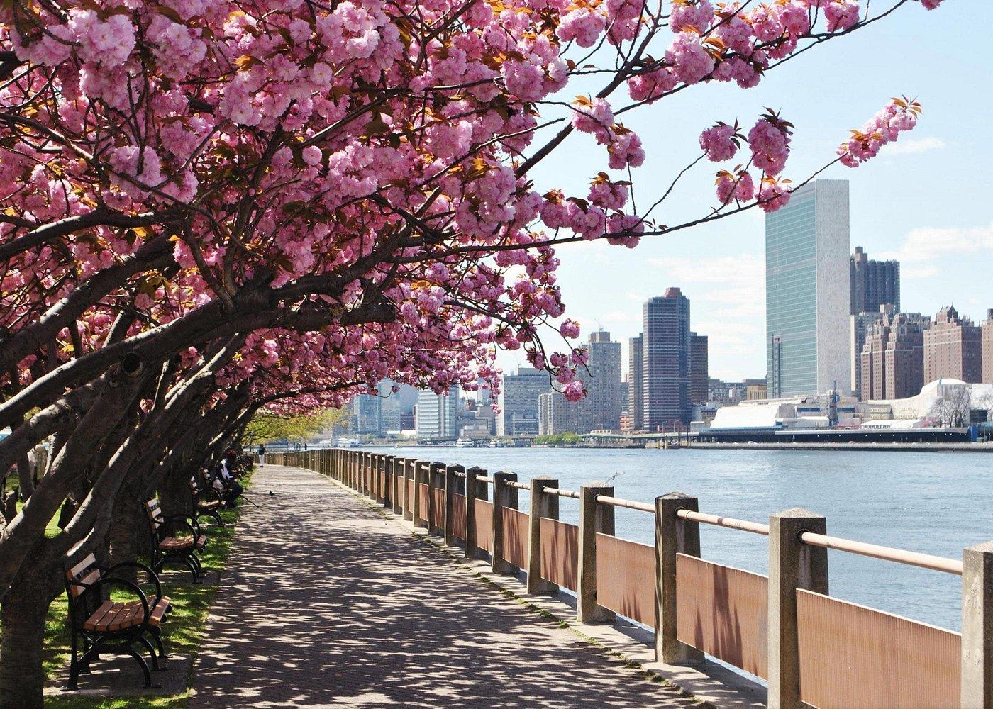 Roosevelt Island