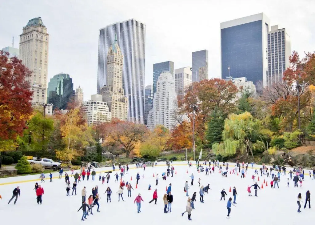 ice rink