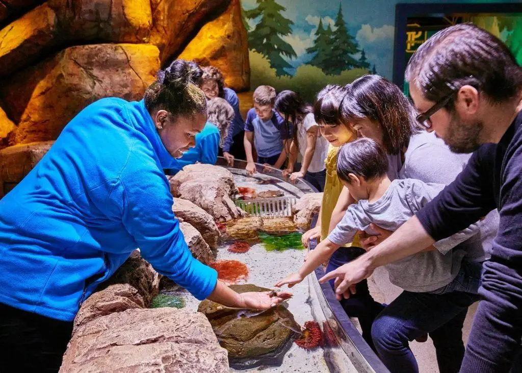 אקווריום סי לייף באמריקן דרים- SEA LIFE New Jersey Aquarium