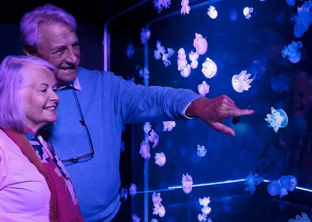 אקווריום סי לייף באמריקן דרים- SEA LIFE New Jersey Aquarium