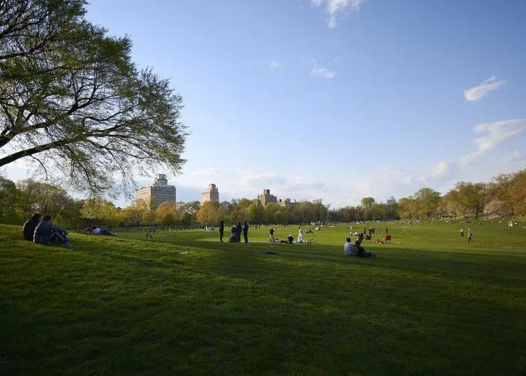 פארק פרוספקט (Prospect Park) בברוקלין ניו יורק