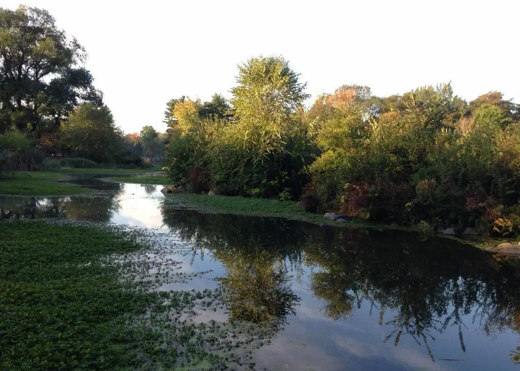 פארק פרוספקט (Prospect Park) בברוקלין ניו יורק