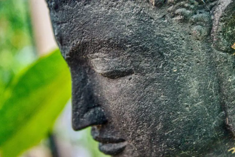 TAO Downtown Restaurant- הפיוז'ן האסייתי המומלץ של ניו יורק