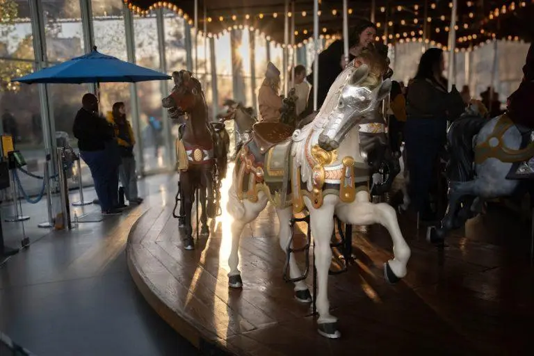 קרוסלת ג'יין ברוקלין