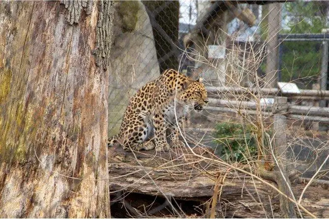 גן חיות VIATOR