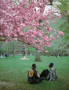 wave hill new york